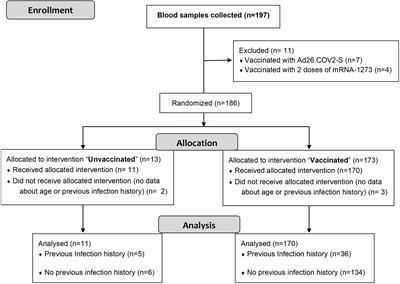 Cell immunity to SARS-CoV-2 after natural infection and/or different vaccination regimens